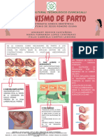 Trabajo Final MDP