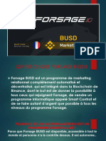 FORSAGE BUSD Français