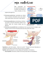 Sistema Endocrino