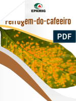 Ferrugem Do Cafeeiro