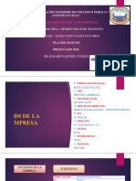 PLAN DE NEGOCIO PPT 1 (1) Modelo