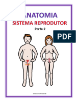 BIOLOGIA - Aparelhos Reprodutores ANATOMIA