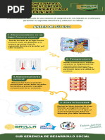 Infografia Almacenamiento de Sangrecita