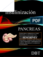 Insulinizacion