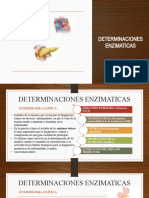 3 Determinaciones Enzimaticas