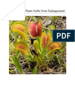 White Paper About Carnivourous Plants After Editing-1