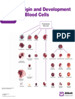 Blood Cell Poster