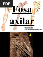 3) Fosa Axilar