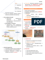 Dermato - 17.08.23 - Infecciones Bacterianas