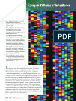 Ch-6 Patterns of Inheritance