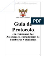 Guiade Protocolo AHBV