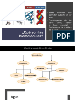 BIOMOLÉCULAS GENERALIDADES Oficial