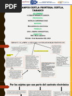 MAPA CONCEPTUAL - Morales Garcia Carlos