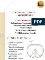 Anatomie e L'estomac