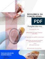 BIOQUÍMICA DA FUNÇÃO RENAL Novo