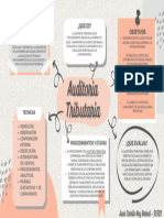 Mapa Mental Auditoría Tributaria