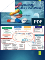 Cursillo Macrolidos Aminoglucosidos y Quinolonas