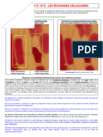 Partie 1.3. - T.P. N°2 - Echanges Cellulaires