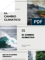 Cambio Climatico BCK