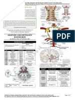 2 - Anatomy Ang Histology Buzzwords Oct 2023 Jamaiyah H. Serad - Hadji Osop