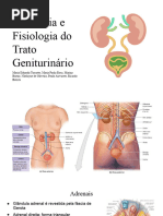 Anatomia e Fisiologia Do TGU