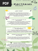 Infografia Las Bacterias