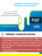 Assistência Nutricional Nas Patologias Do Sistema Digestório E Órgãos Anexos