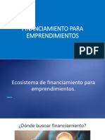 Clase - Financiamiento UV IICG