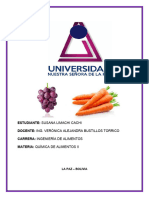 Informe 5 - Química de Alimentos 2 (Comportamiento de Los Carotenos y Antocianinas) .