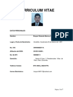 CV de Brayan Monroy Actualizado