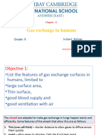 Gas Exchange in Humans Grade 9