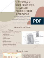 Anatomía y Embriología Del Aparato Reproductor Femenino