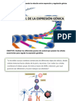 4M. Regulación Génica