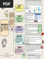 Cuadro Sinoptico Farmacocinetica