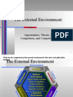 The External Environment