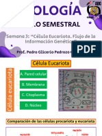 Bio Teoría - Semana 3