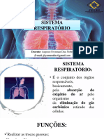 08 - Sistema Respiratório