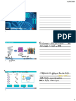 DNA e Síntese Proteica - : Parte 1