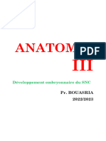 ANATOMIE III - PR Bouassria - TN