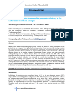 Innovations: Analysis of Smallholder Farmers Coffee Production Efficiency in The Gedeo Zone of Southern Ethiopia