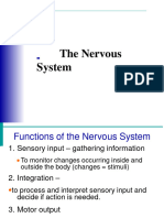 Nervoussyste