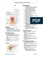 QUIAMBAO - Urinary System Reviewer - AnaPhy Lec