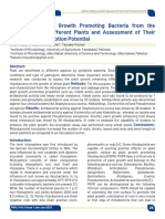 Isolation of Plant Growth Promoting Bacteria From