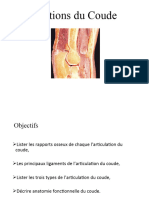 Articulation Du Coude