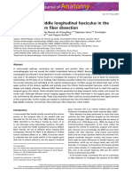 Evidence of A Middle Longitudinal Fasciculus in The Human Brain From Fiber Dissection