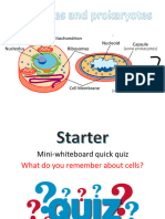 Eukaryotes and Prokaryotes