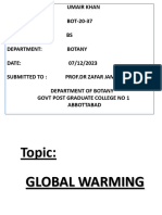 Global Warming Umair Khan Presentation