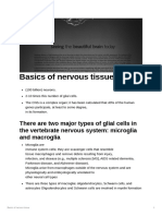 Nervous Tissue