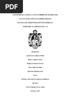 PDF Documento