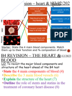 MN - B4 Revision Lesson